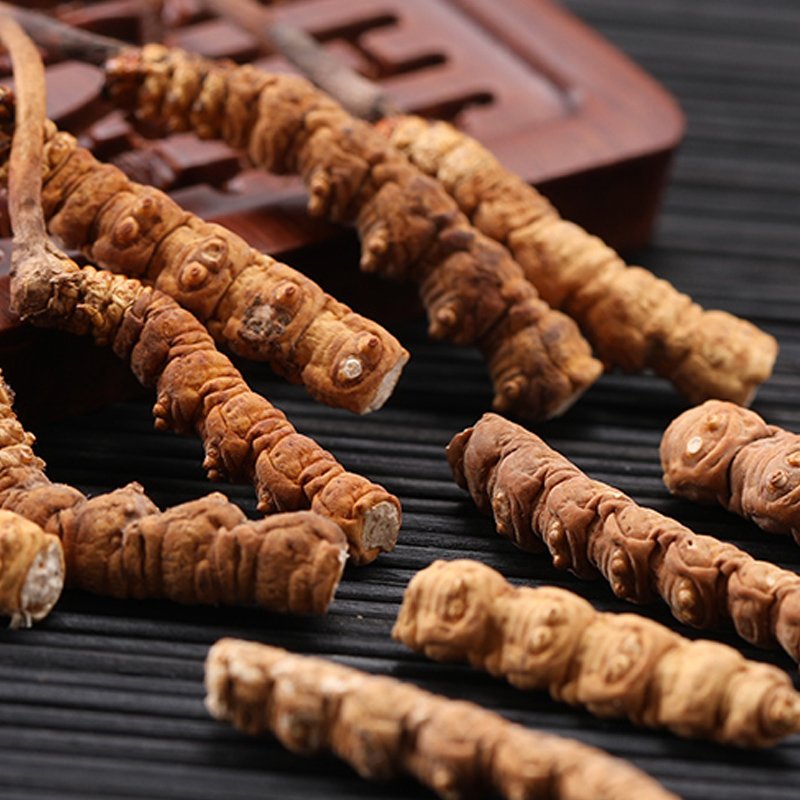 Whole Plant Cordyceps Sinensis Cordyceps Militaris Dried Chinese Fungus