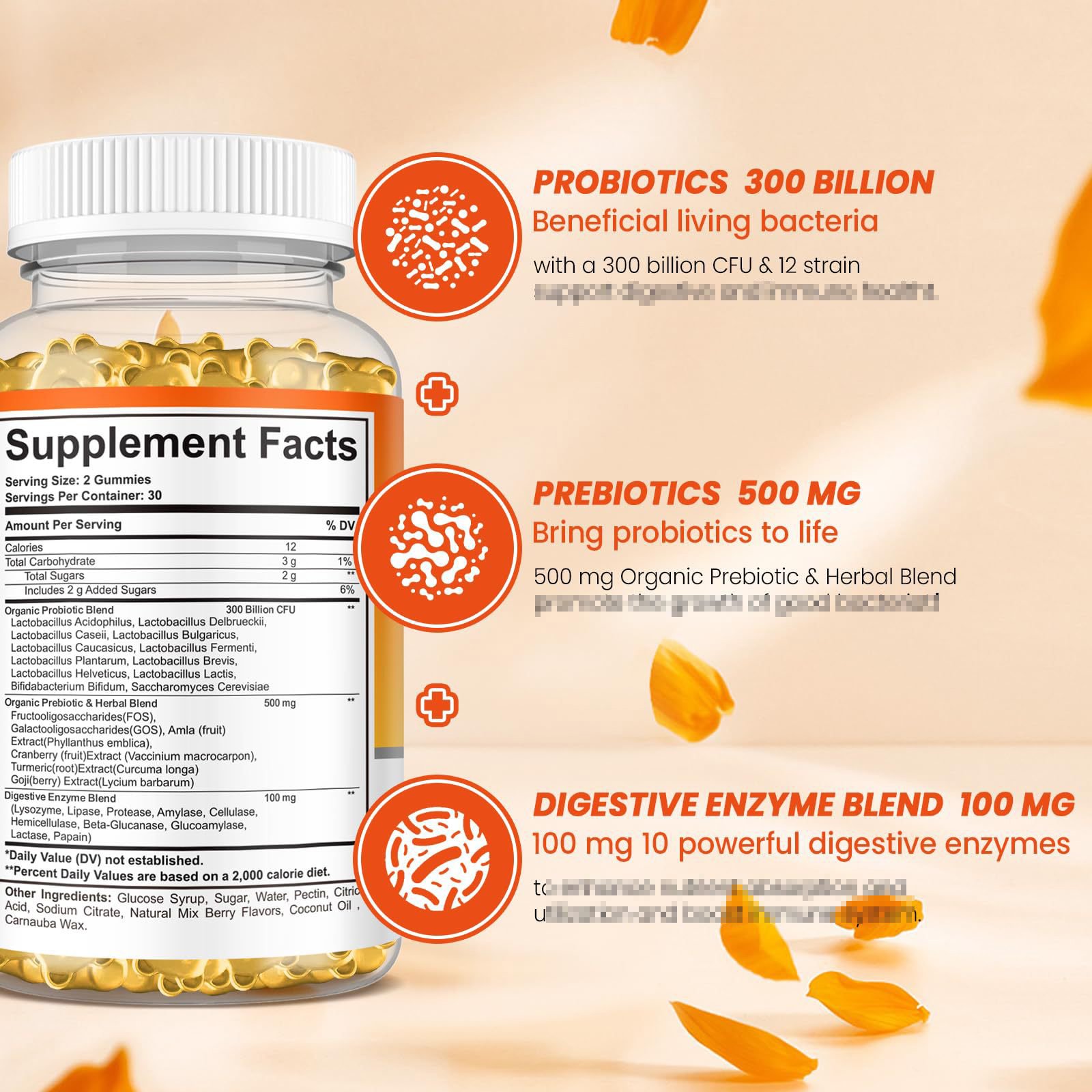 OEM ODM Private Label Daily Probiotic Gummies for Women And Men Extra Strength 5 Billion CFU Daily Probiotics Gummy