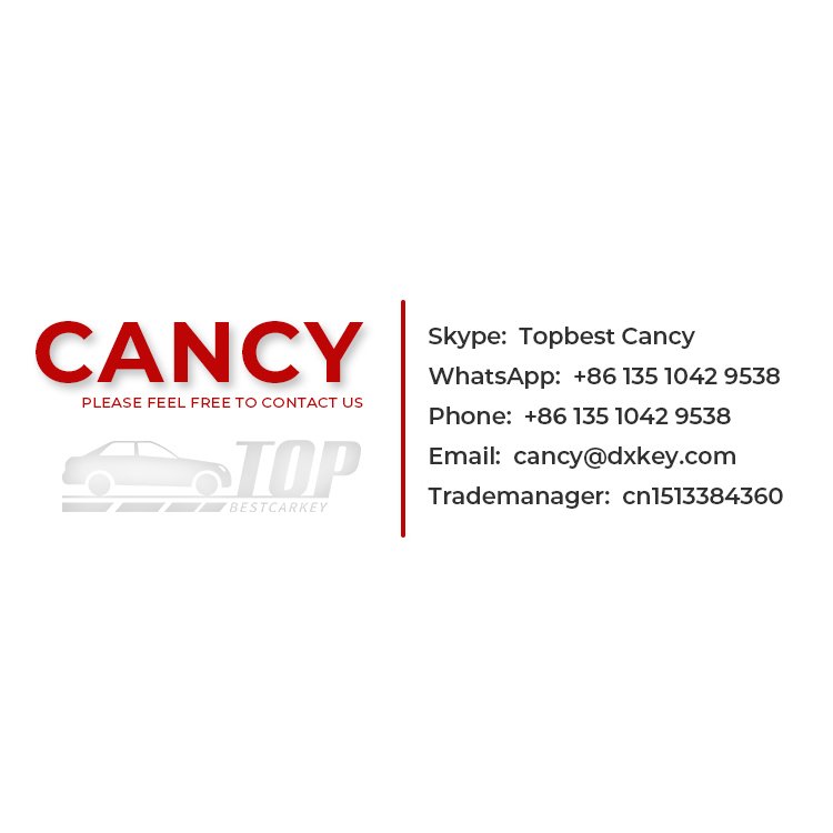 Emergency key blade blank N-issan valet key for smart card sideface with chip place