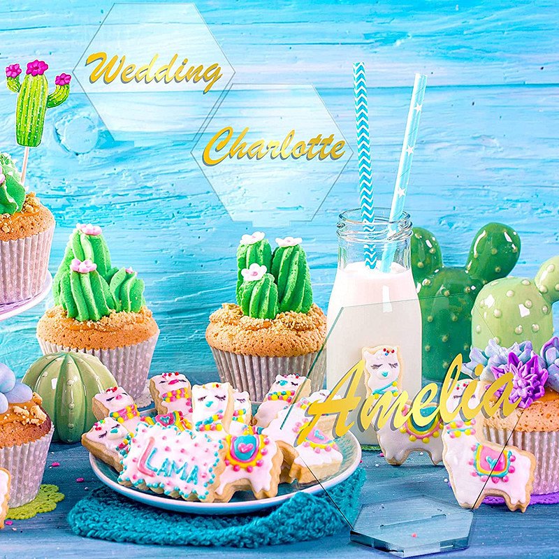 Clear Acrylic Wedding Place Cards Table Place Card Acrylic Signs For Wedding Blank Plate Seating Chart Card