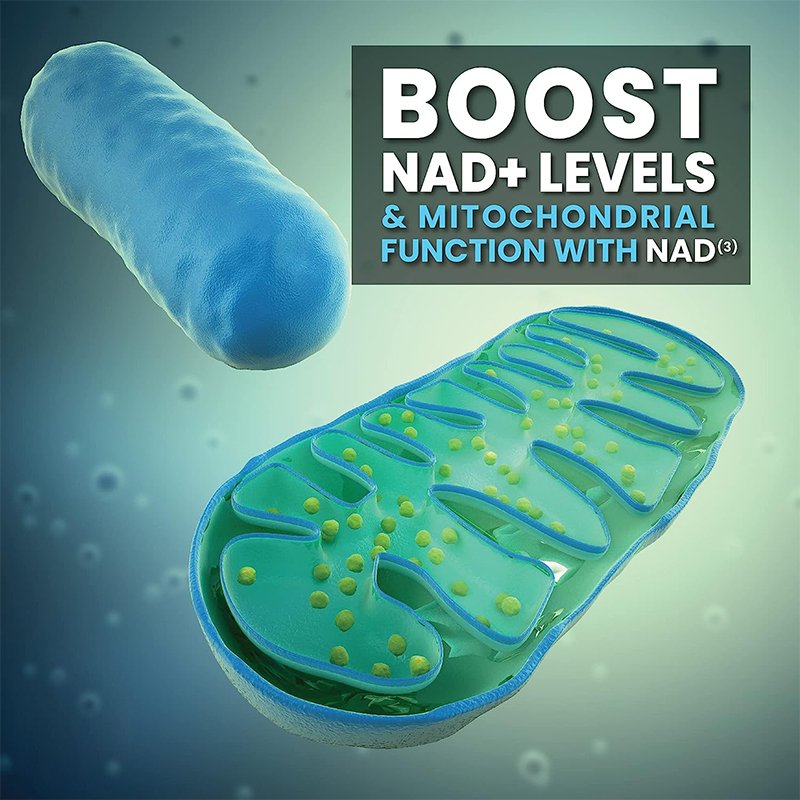 Extra Value Size 4 Month Supply 240 Capsules HPN Supplements NAD3 NAD+ Booster