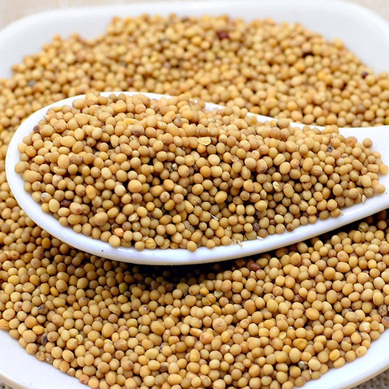 China Exporter Best Quality Organic Single Spices Brown Mustard Seeds