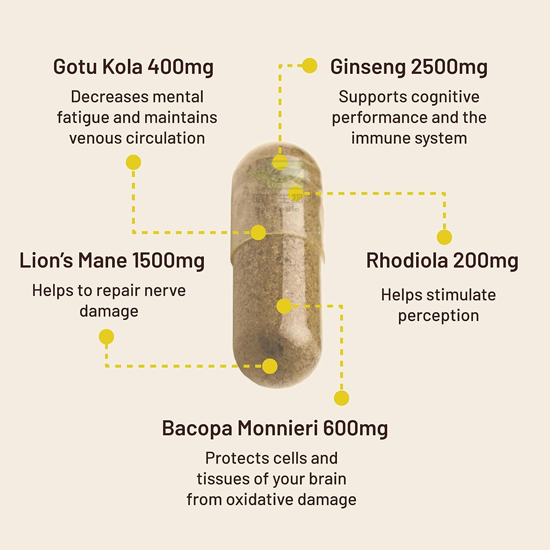 Natural Organic Supplement Lion's Mane Capsules Lions Mane Mushroom Capsules