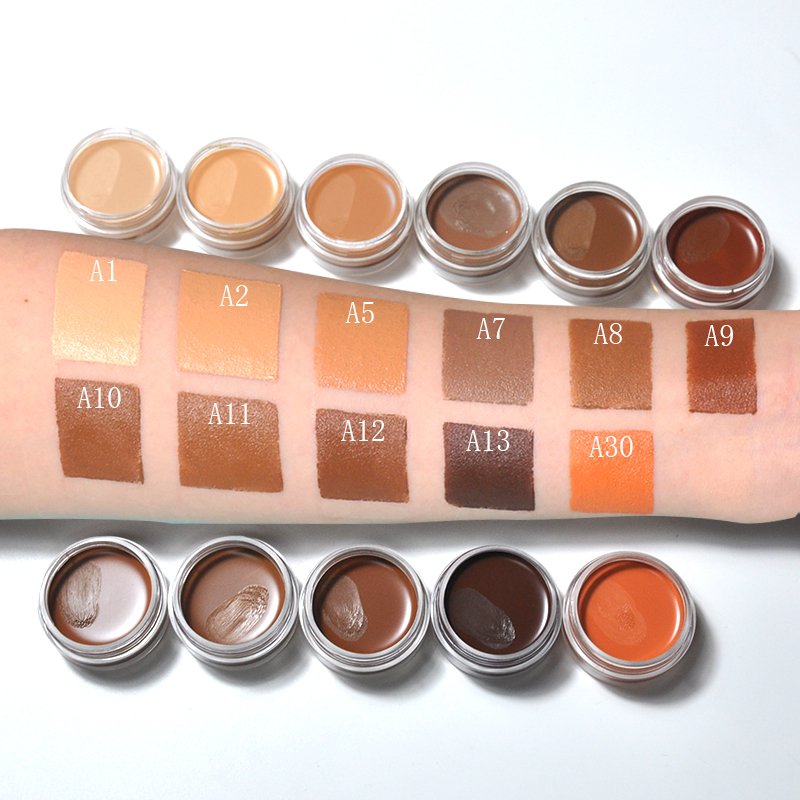 Wholesale Hot Sale Provide Label Cosmetics Makeup Organic High Pigment Waterproof Full Coverage Concealer