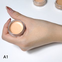 a1