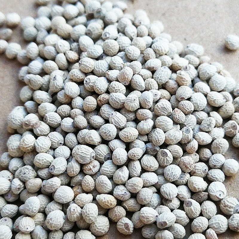 Agriculture Products poultry birds feed bird fodder