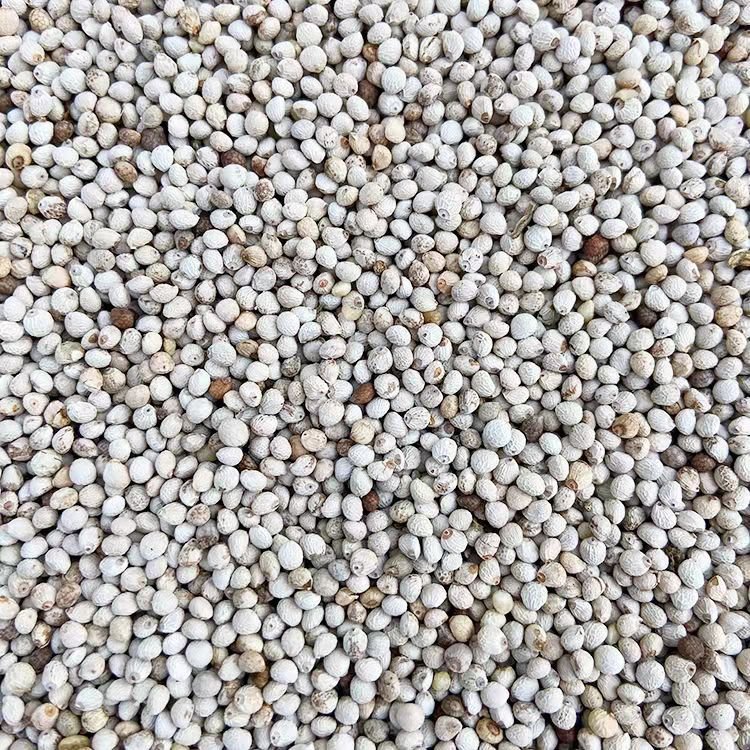 Agriculture Products poultry birds feed bird fodder