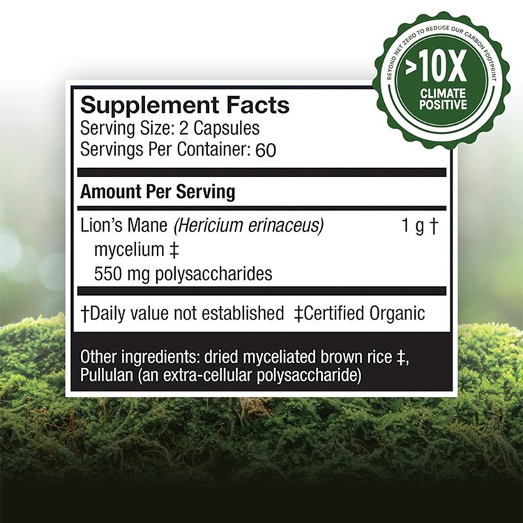 120 Lion's Mane Capsules Mushroom Supplement Promotes Mental Clarity Focus and Memory