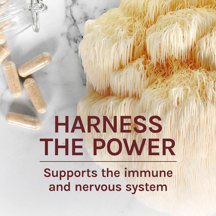 120 Lion's Mane Capsules Mushroom Supplement Promotes Mental Clarity Focus and Memory