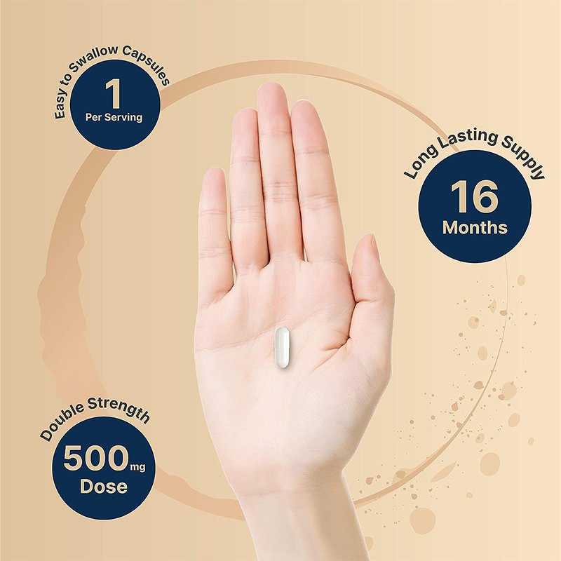 Nutrition Supplements Food Supplement Magnesium Glycinate 500mg 480 Capsules
