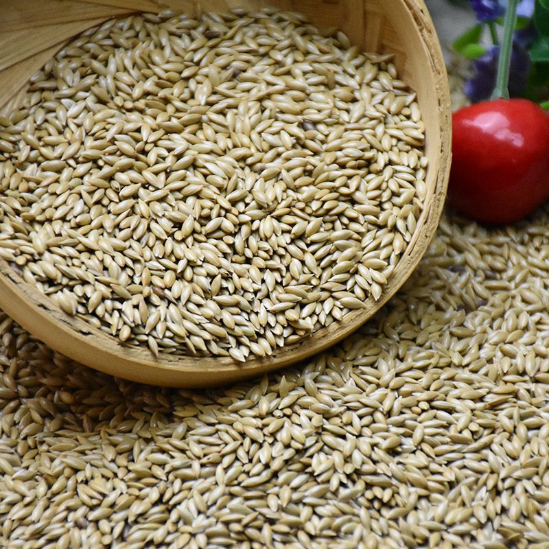 Pet Products Food Canary-seed Birds Feed Seeds Canary Bird Canary Kernel Seeds