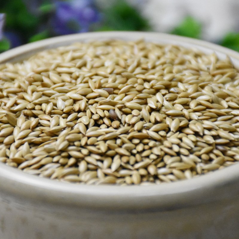 Pet Products Food Canary-seed Birds Feed Seeds Canary Bird Canary Kernel Seeds