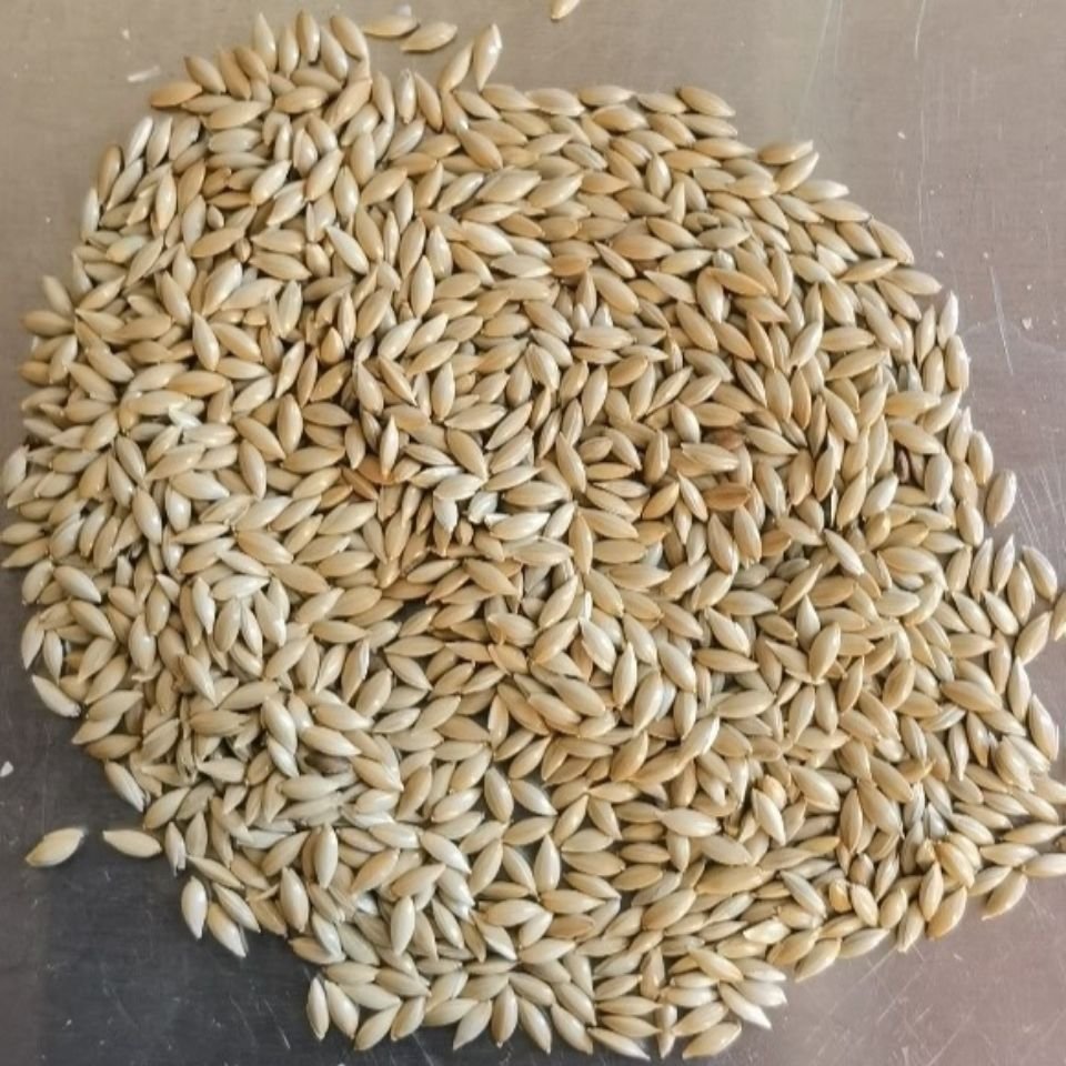 Pet Products Food Canary-seed Birds Feed Seeds Canary Bird Canary Kernel Seeds