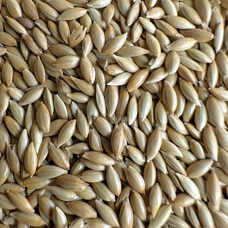 Pet Products Food Canary-seed Birds Feed Seeds Canary Bird Canary Kernel Seeds