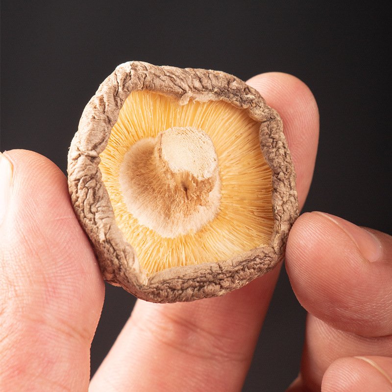 MOQ 1kg Wholesale Price Bulk Dried Shiitake Mushroom Lentinus Edodes