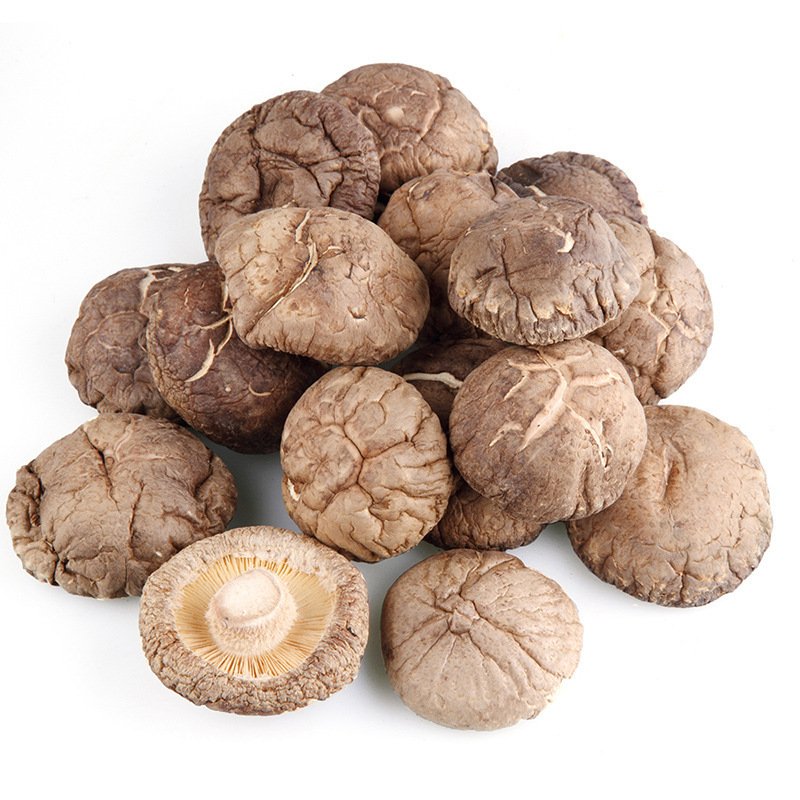 MOQ 1kg Wholesale Price Bulk Dried Shiitake Mushroom Lentinus Edodes