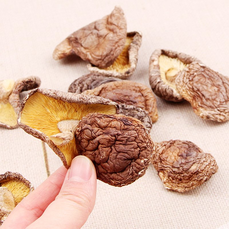 MOQ 1kg Wholesale Price Bulk Dried Shiitake Mushroom Lentinus Edodes