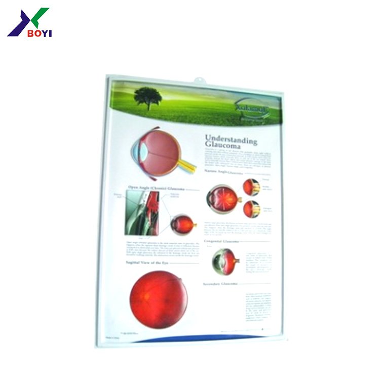 human eye 3d anatomy chart poster/ pvc embossed chart/ medical wall chart