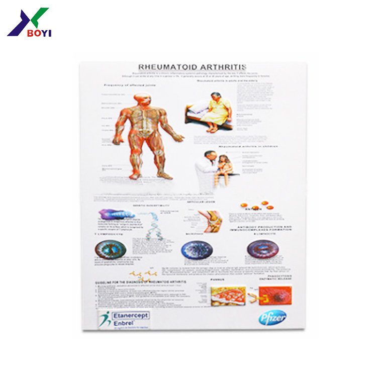 human eye 3d anatomy chart poster/ pvc embossed chart/ medical wall chart