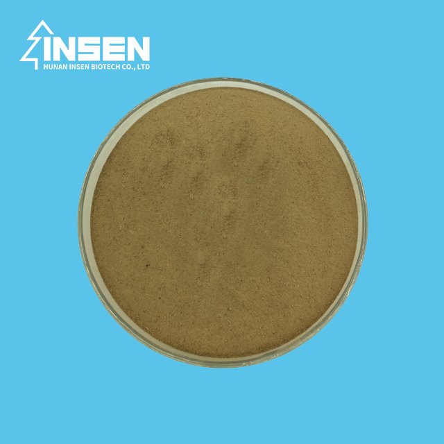Insen Supply Good Quality Radix Isatidis Extract