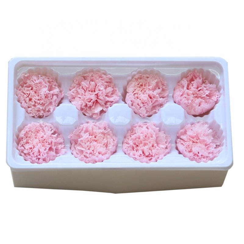 YN Hi Flower Hot Selling Dry Stabilized Preserved Carnation Flower Heads For Mothers Day Gift