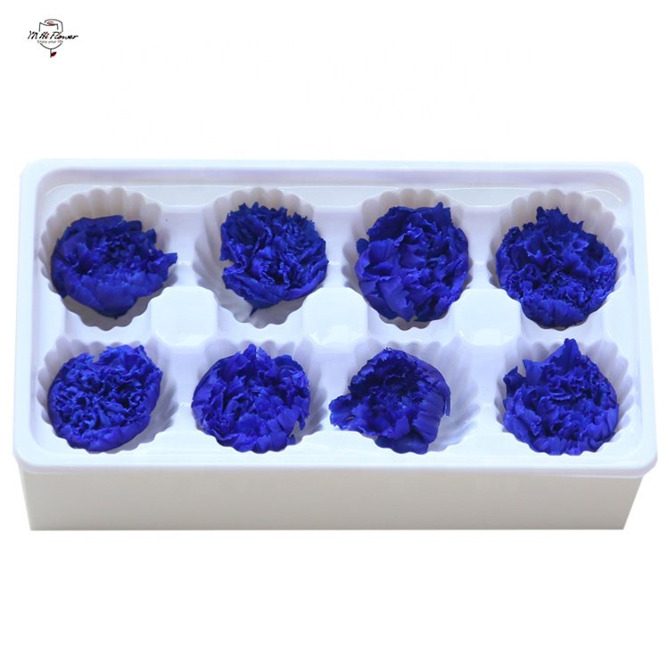YN Hi Flower Hot Selling Dry Stabilized Preserved Carnation Flower Heads For Mothers Day Gift