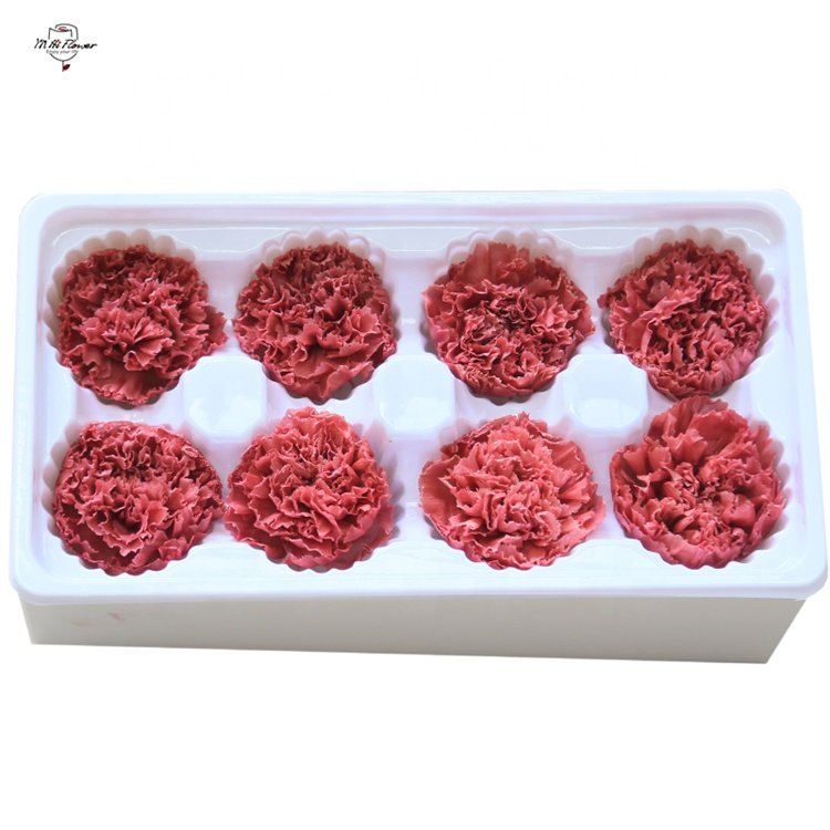 YN Hi Flower Hot Selling Dry Stabilized Preserved Carnation Flower Heads For Mothers Day Gift