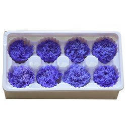 violet