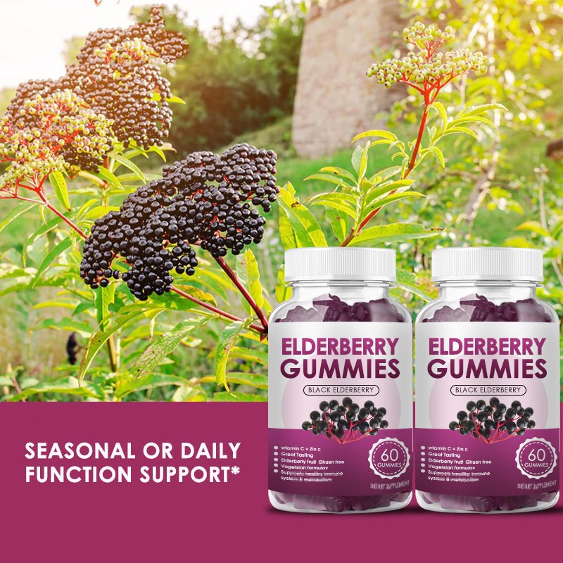 OEM ODM Private Label Daily Probiotic Gummies for Women And Men Extra Strength 5 Billion CFU Daily Probiotics Gummy