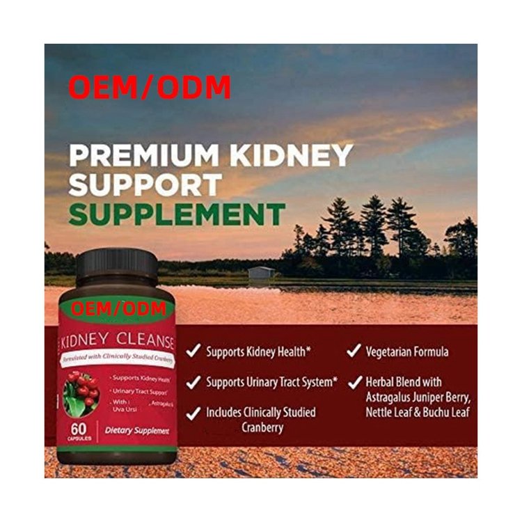 60 Vegetarian Capsules Premium Kidney Cleanse Supplement for Healthy Kidneys & Urinary Tract