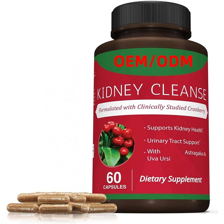60 Vegetarian Capsules Premium Kidney Cleanse Supplement for Healthy Kidneys & Urinary Tract