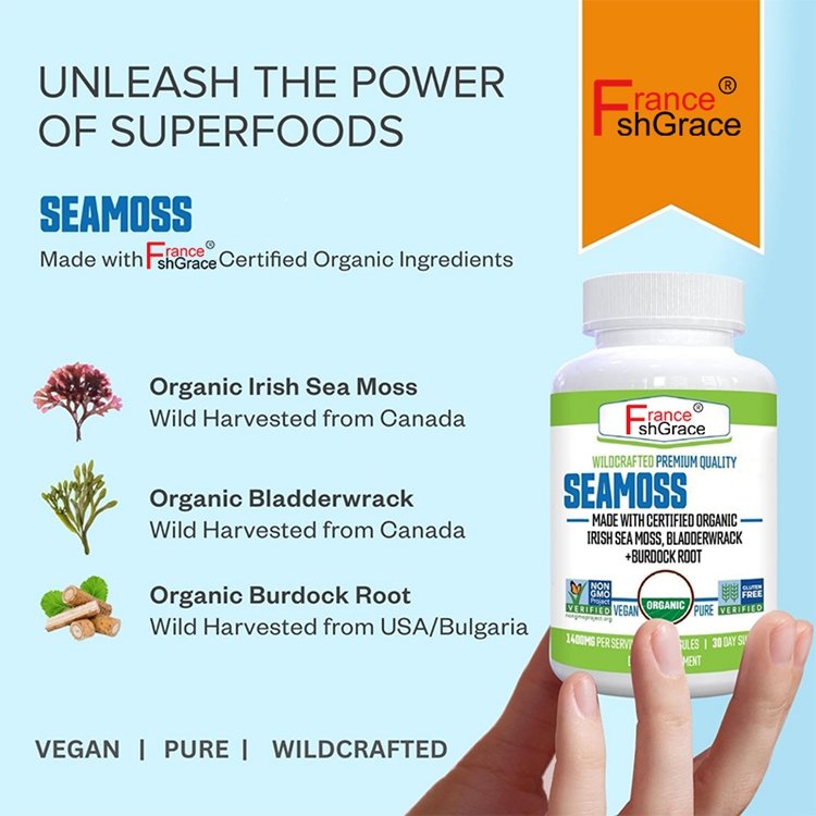 Organic Wildcrafted Seamoss Bladderwrack and Burdock Root Supplement for Immunity Capsules for Adults