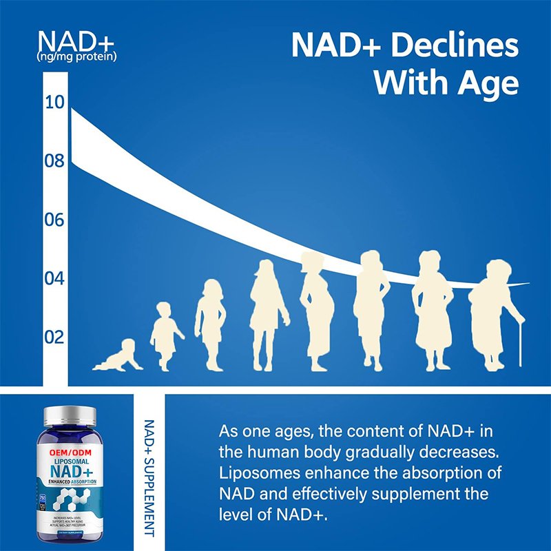 NAD Supplement, With TMG 250 mg, Promotes Anti-Aging, Energy and Brain Function 120 Capsules