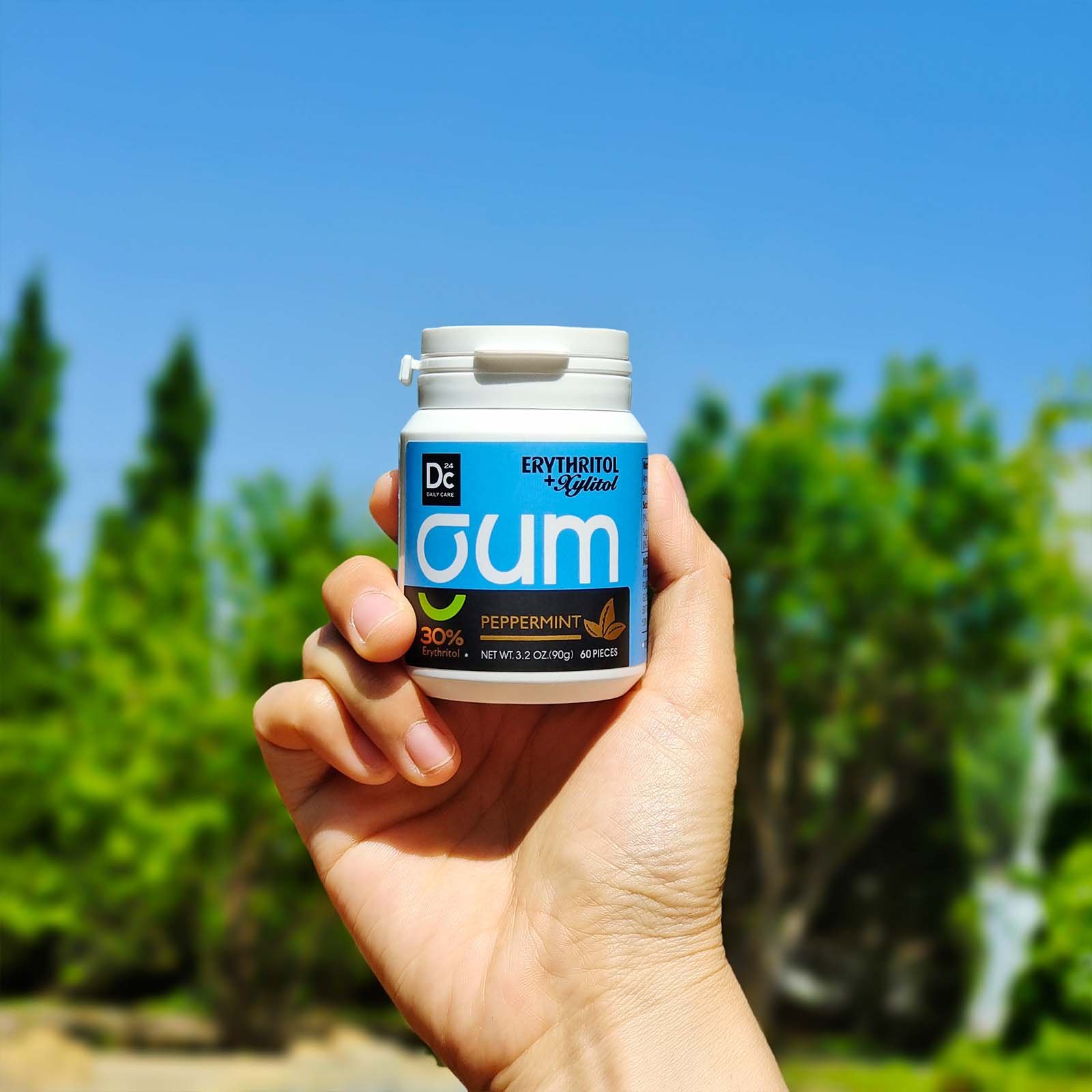 Falim gum xylitol and erythritol sugar free chewing gum 0 calorie chewing gum