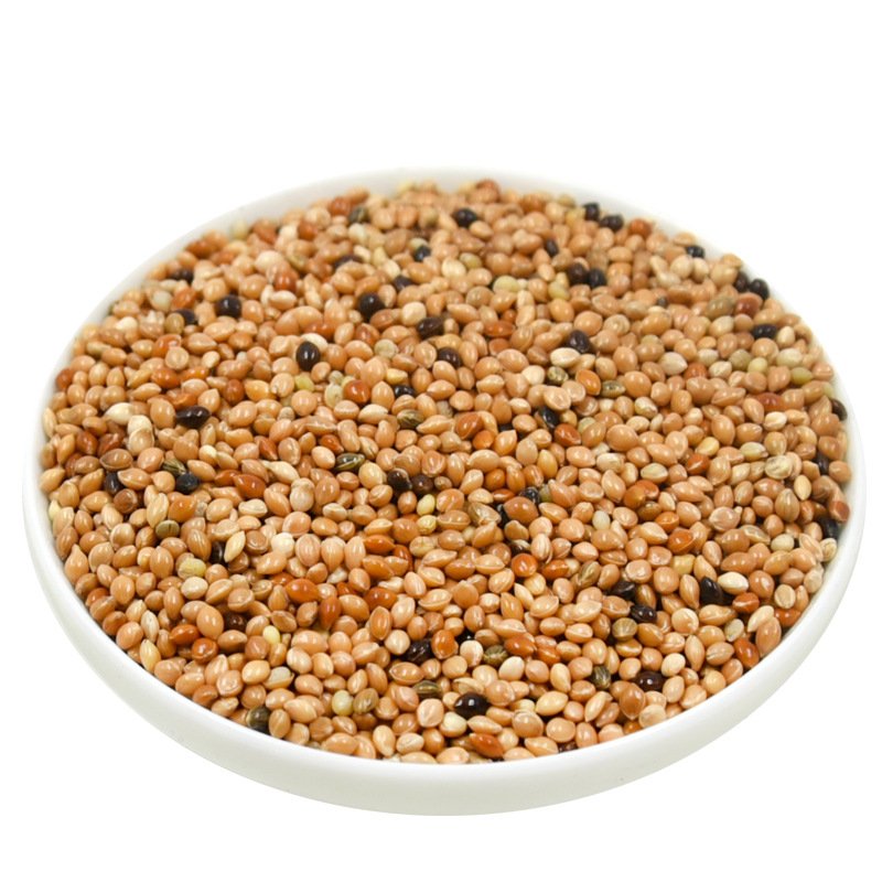 Chicken Dry Pet Food Psittacus Neonatal Baby Bird Food Parrot Bird Feed
