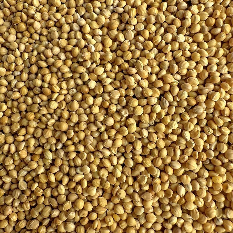 Animal Fodder Poultry Birds Feed Yellow Millet Seeds For Birds