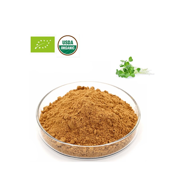 Faitury Double Organic Certified Medicago Sativa Extract Powder Alfalfa Juice Powder/Alfalfa Extract Powder