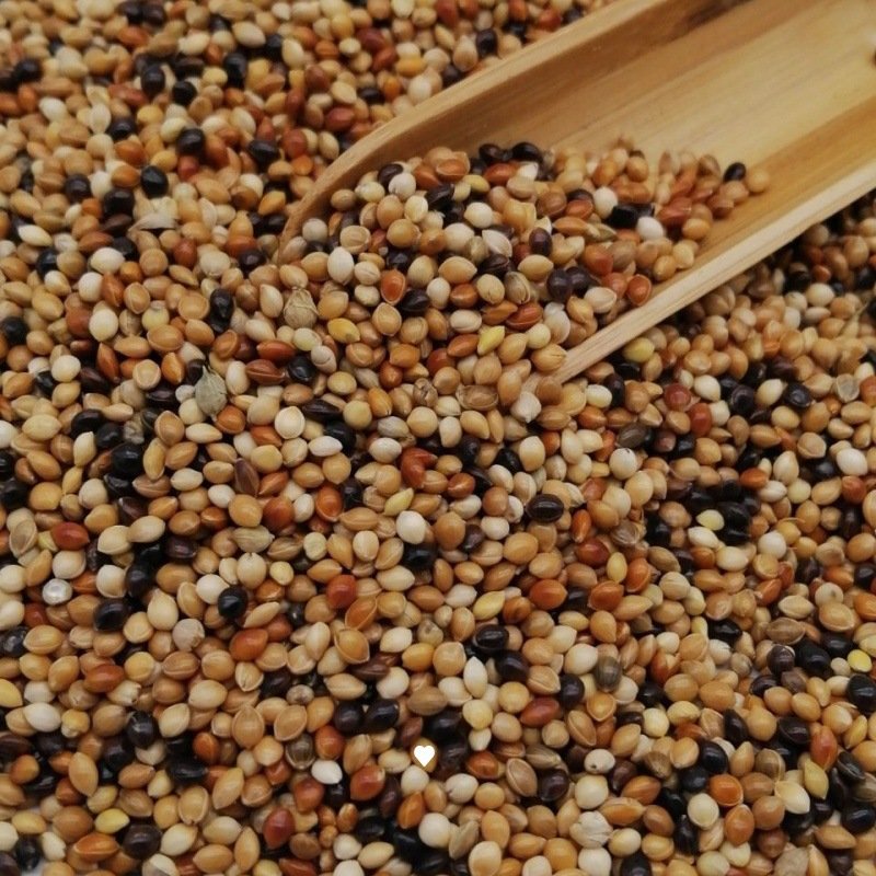 Broomcorn Millet Feeds Animal Bird Seed Mix Bird Food