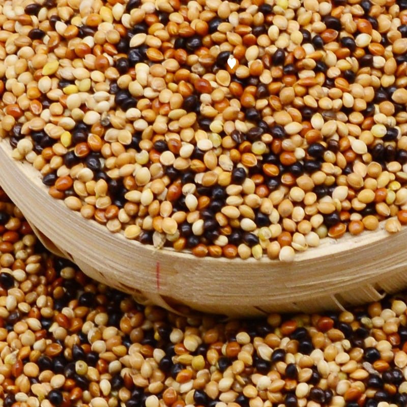 Broomcorn Millet Feeds Animal Bird Seed Mix Bird Food