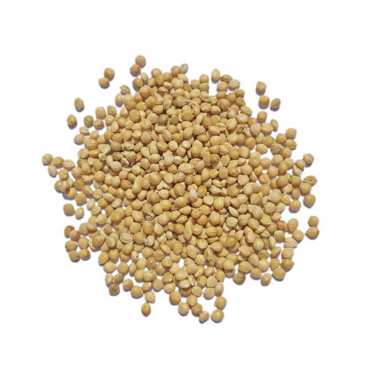 Bird Food Seed Fodder Yellow Millet Broom Corn Millet For Bird Feed