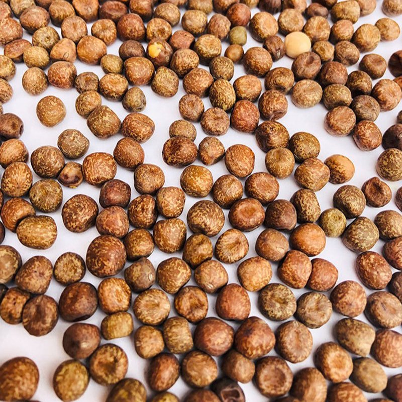 Wholesale Manufacturers Poultry Feed Maple Peas Pigeon Bird Food Seed