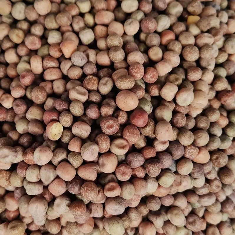 Wholesale Manufacturers Poultry Feed Maple Peas Pigeon Bird Food Seed