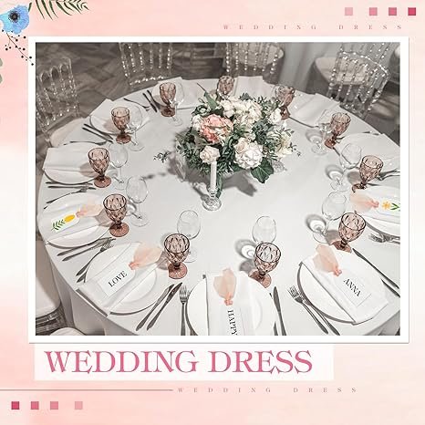 100 Pcs Frosted Clear Acrylic Place Cards Wedding Reserved Signs Name Tag Seat Label Ribbon Table Setting Numbers Display Rack