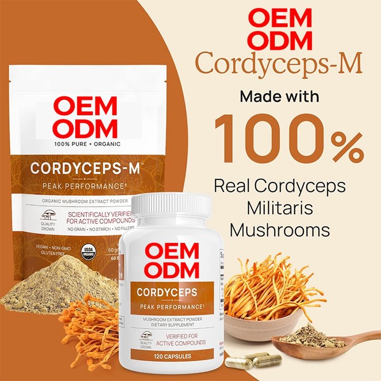 Cordyceps Capsules Performance Mushroom Extract Supplement with Organic Militaris for Energy & Immune Support Vegan Supplement