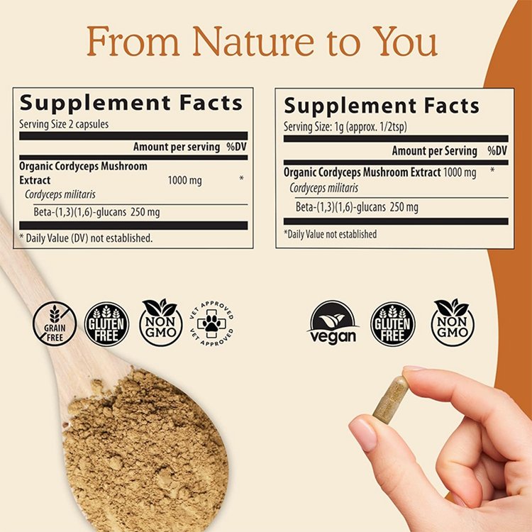 Cordyceps Capsules Performance Mushroom Extract Supplement with Organic Militaris for Energy & Immune Support Vegan Supplement