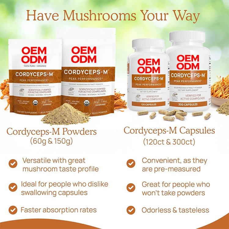 Cordyceps Capsules Performance Mushroom Extract Supplement with Organic Militaris for Energy & Immune Support Vegan Supplement