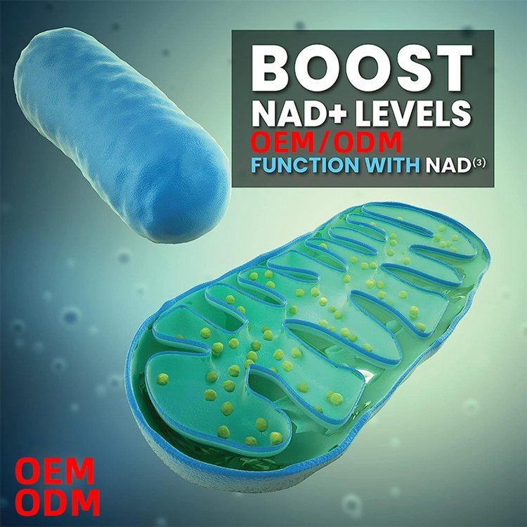 120 Capsules Supplements NAD3 NAD+ Booster Value Size