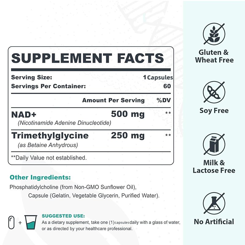 High Absorption NAD+ 500 mg Supplement, Boost NAD+ With TMG 250 mg Support Healthy Aging 60 CAPSULES