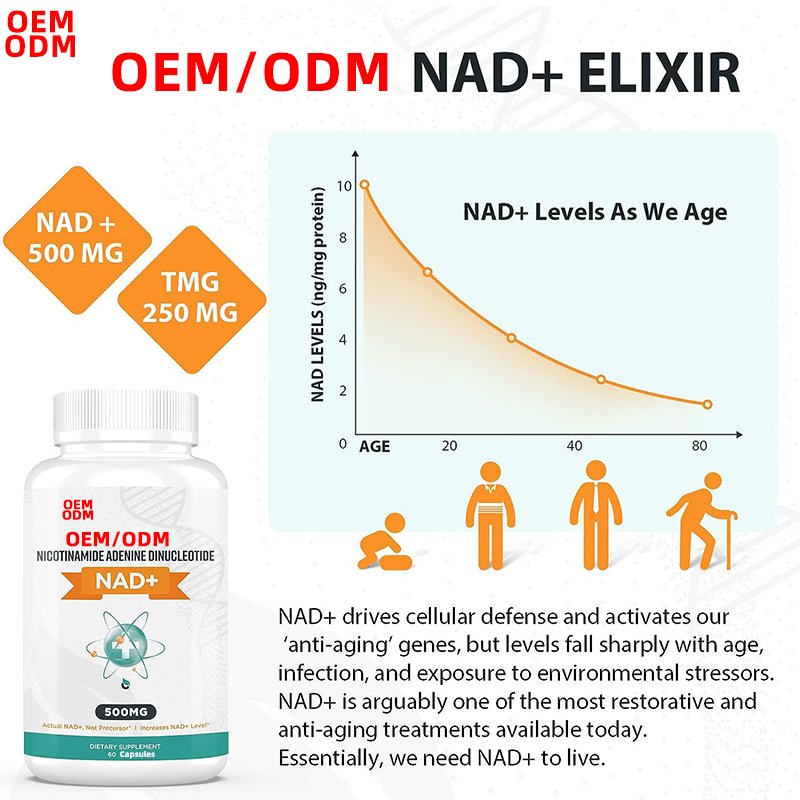 High Absorption NAD+ 500 mg Supplement, Boost NAD+ With TMG 250 mg Support Healthy Aging 60 CAPSULES