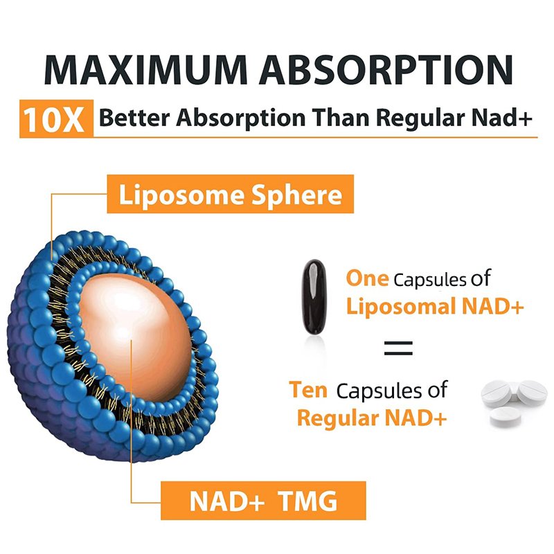 High Absorption NAD+ 500 mg Supplement, Boost NAD+ With TMG 250 mg Support Healthy Aging 60 CAPSULES